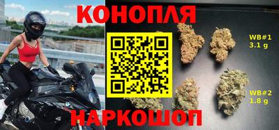 гашик Донской