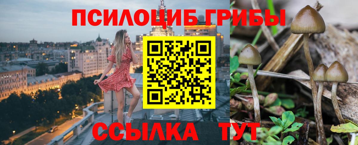 Галлюциногенные грибы Psilocybe  Вход с VPN  Миасс  Псилоцибиновые грибы мицелий 
